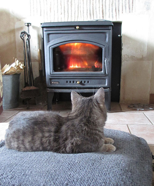 le chat devant le feu...